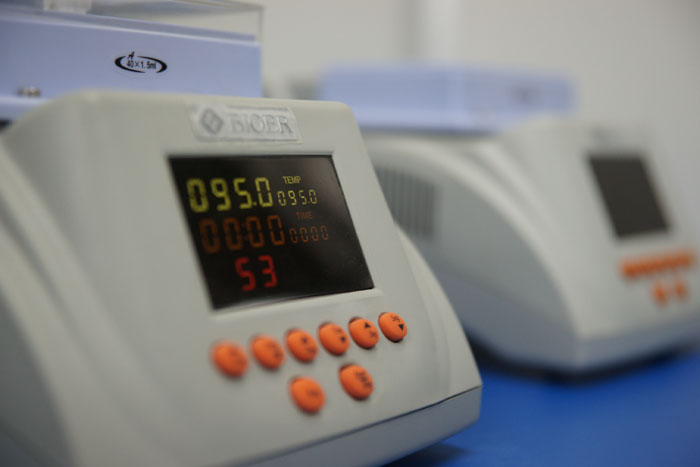 個(gè)人親子鑒定流程詳解